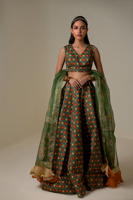 Amaltas - Lehenga Choli